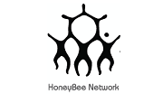 honeybee